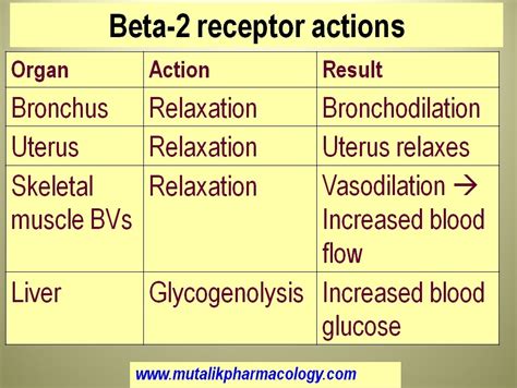 Beta2 Receptor Agonists and Antagonists .